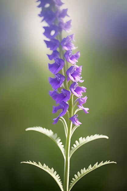 Photo realistic looking flower