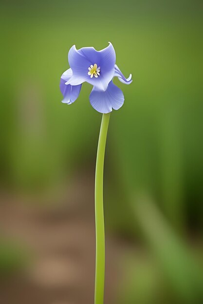 realistic looking flower