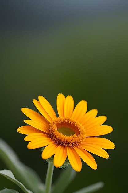 Photo realistic looking flower