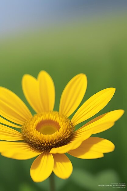 Photo realistic looking flower