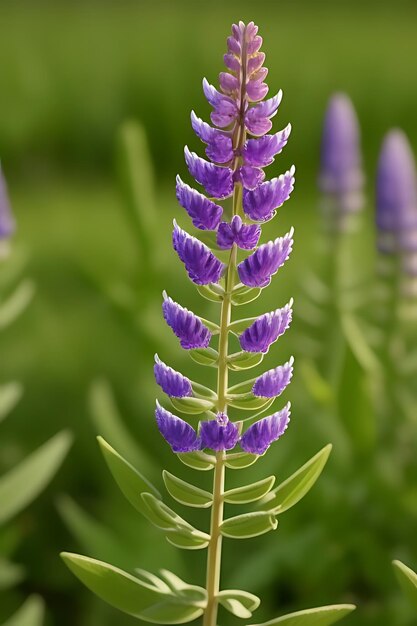 Photo realistic looking flower