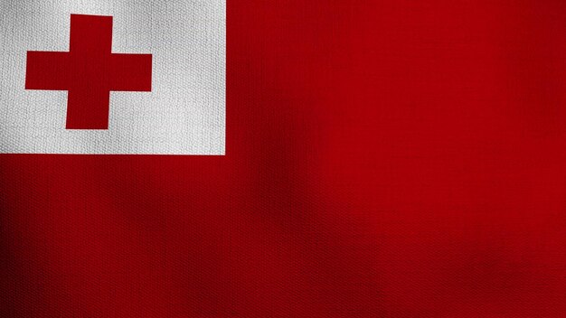 現実的な国旗 トンガの国旗