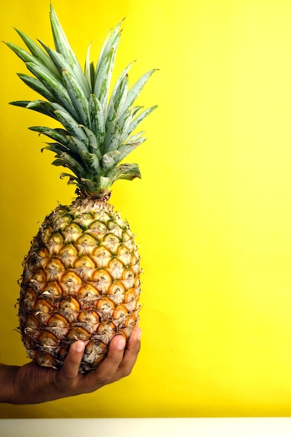 The realistic pineapple fruit photo in the studio