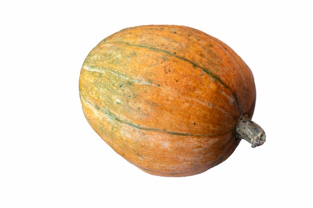 Photo realistic pumpkin isolated on white background close up halloween symbol