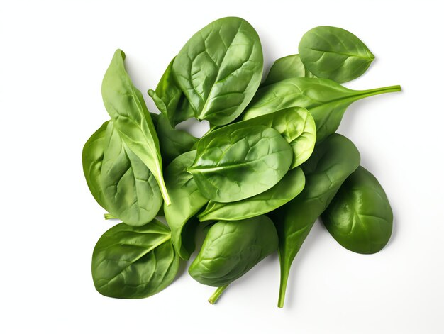 Photo realistic spinach photo with white background for product photo mockup element design