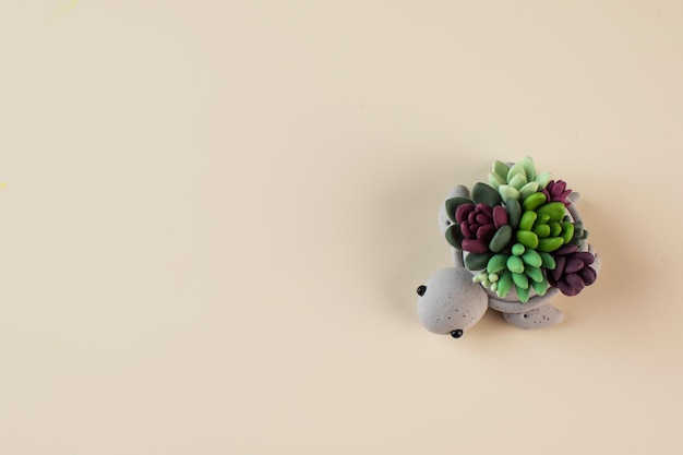 Реалистичные суккуленты из полимерной глины в горшке в форме черепахи на светло-бежевом цвете