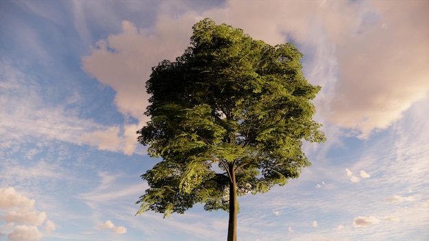 Photo realistic tree with blue sky