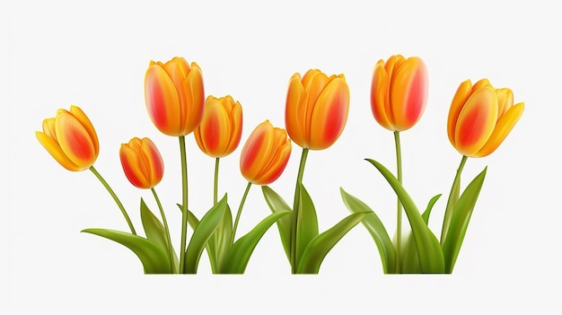 Realistic vector tulips set on transparent background Generative AI