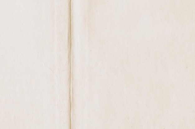 Photo realistic vintage paper texture background