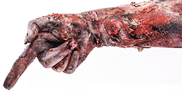 Photo realistic zombie or undead hand pointing in a direction with index finger, isolated white surface.