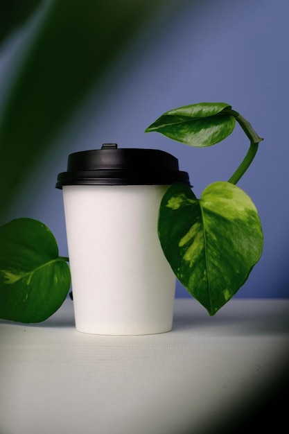 Realistisch kopje koffie natuur concept