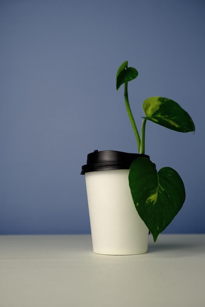 Realistisch kopje koffie natuur concept