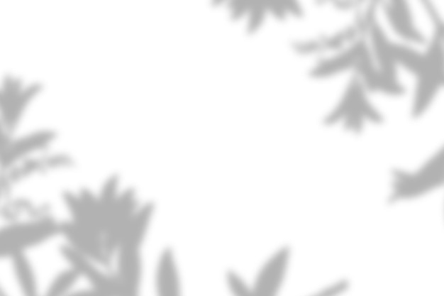 Realistisch tropisch blad schaduw overlay effect op witte muur