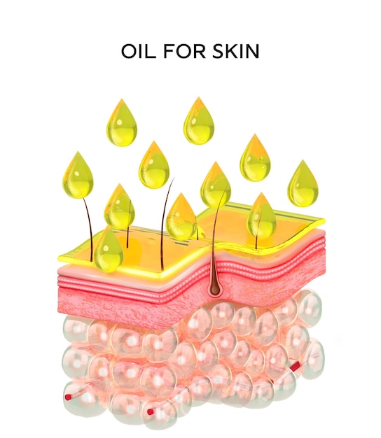 Realistische menselijke huid lagen dwarsdoorsnede structuur. olie of serum huidverzorging medische 3d illustratie