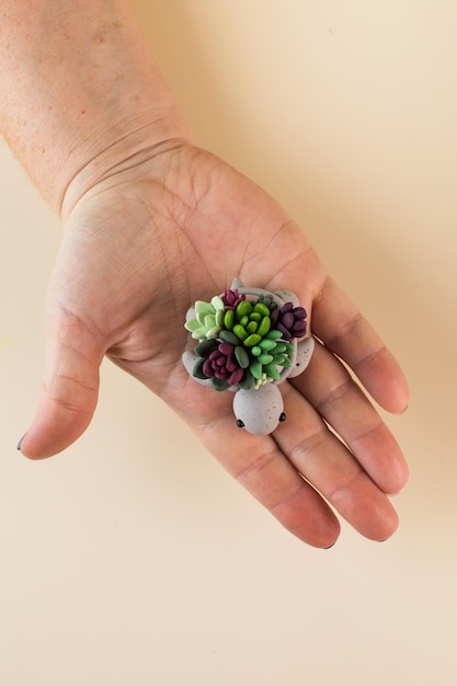 Realistische vetplanten gemaakt van polymeerklei in een pot in de vorm van een schildpad in de palm van een vrouw