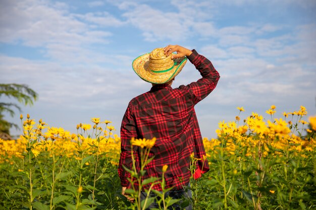 Rear view of an agricultural worker wearing a red shirt in a yellow flower garden.