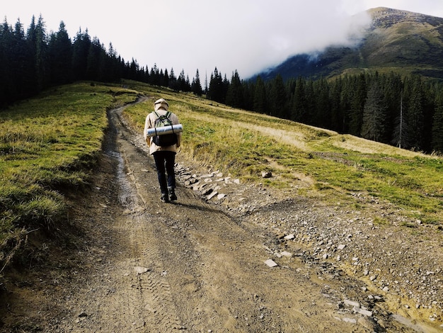 Rear view of backpacker walking in forest