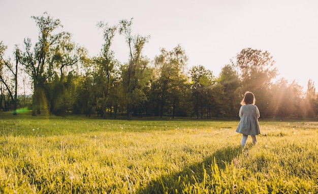 Вид сзади на красивую маленькую девочку, играющую с одуванчиком на лугу на фоне заката солнечного света Милый ребенок наслаждается и исследует природу в парке Счастливые эмоции С Днем Матери Детство