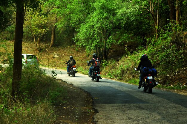 Foto vista posteriore di motociclisti sulla strada nella foresta