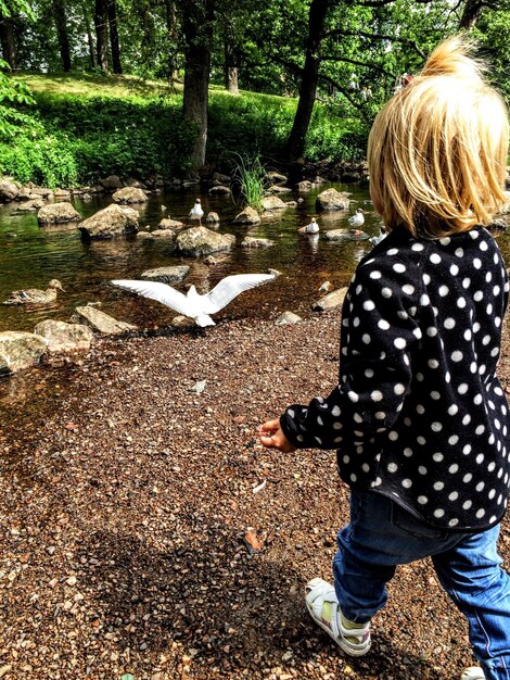 Foto vista posteriore di una ragazza bionda dagli uccelli sul ruscello al parco