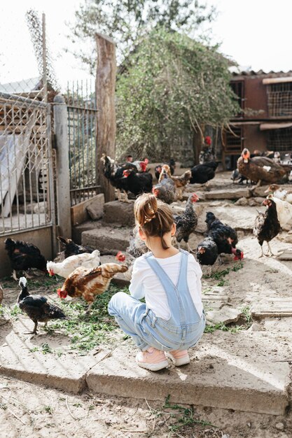 Photo rear view of boy and birds on tree