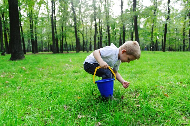 Photo rear view of boy in forest