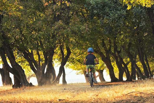 公園で自転車に乗っている男の子の後ろの景色