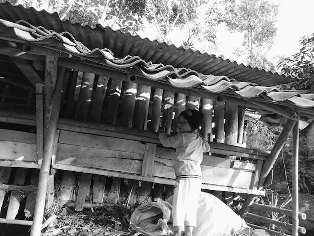 Photo rear view of boy standing under roof