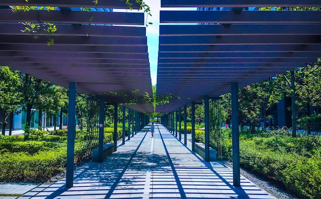 Photo rear view of boy walking in covered walkway