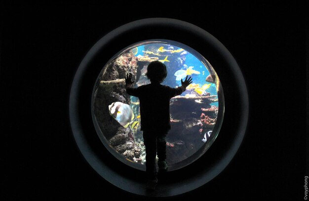 Photo rear view of child looking at aquarium