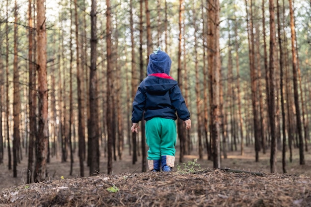 Photo rear view of child standing in forest