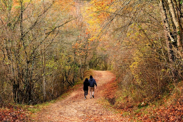Photo rear view of couple walking on footpath in forest during autumn