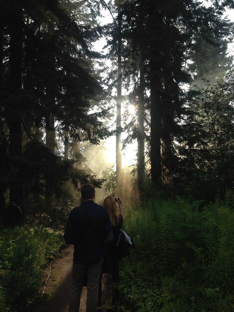 Rear view of couple walking in forest