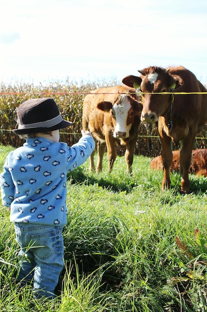 Foto vista posteriore di una mucca in piedi sul campo