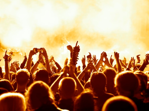 Photo rear view of crowd enjoying during music concert