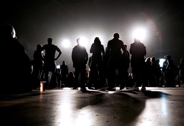 rear view of crowd during music festival