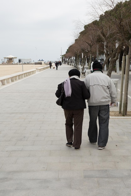 パイを散歩する老夫婦の背面図