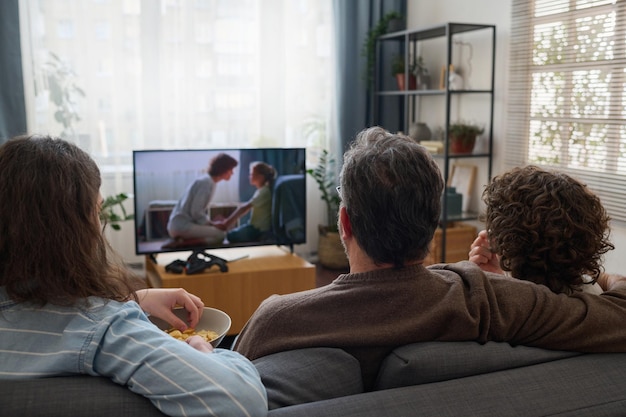 Rear view of family watching TV together in the living room while resting on sofa