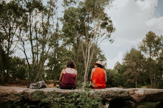 rear view of female friends sitting against trees on retaining wall