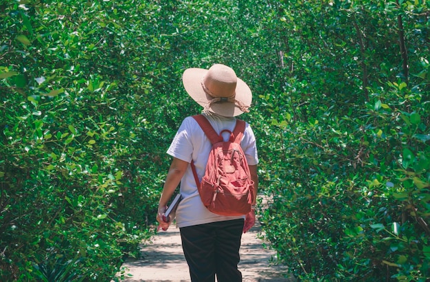 Rear view of female tourist with backpack walking on walkway in\
mangrove forest at natural parkland