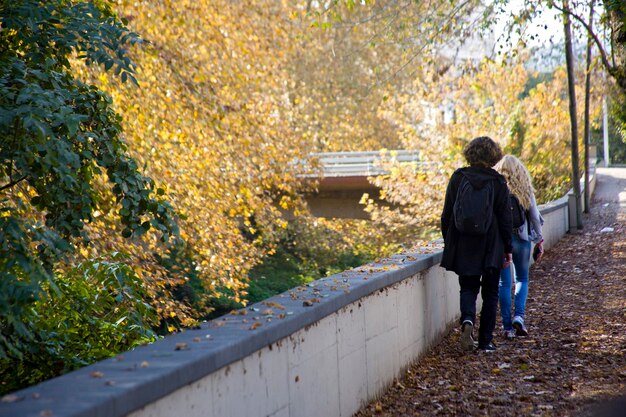 Photo rear view of friends walking by retaining wall on autumn leaves at park