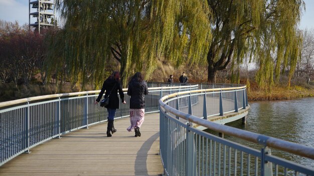 Rear view of friends walking on footbridge over river