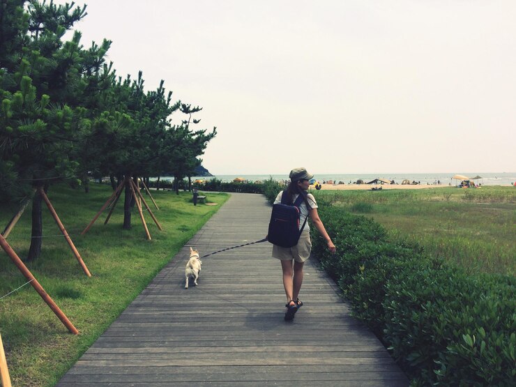 Photo 보드워크 에 개 와 함께 고 있는 여자 의 뒤쪽 전체 길이