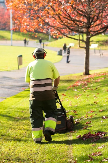 Photo rear view of gardener working in park during autumn