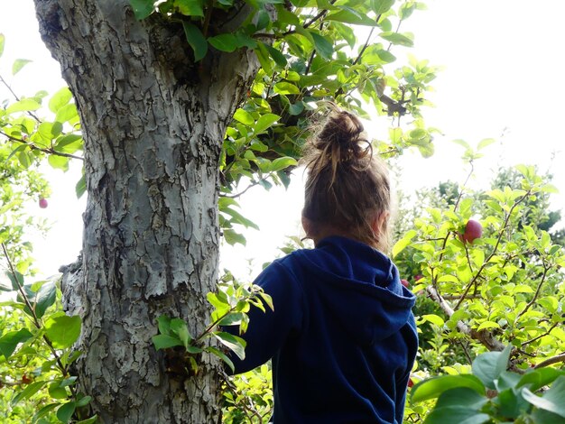 Photo rear view of girl climbing tree