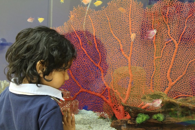 Foto vista posteriore di una ragazza che guarda i pesci in acquario