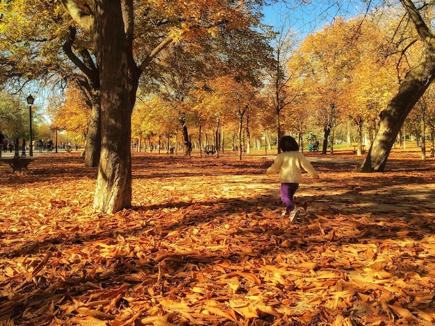 Foto vista posteriore di una ragazza che gioca con gli alberi d'autunno al parco