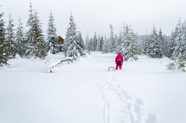 雪の上でスレッドを引っ張る女の子の後ろの景色