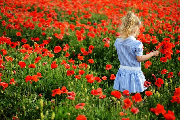 Rear view of girl standing amidst red poppy flowers on field