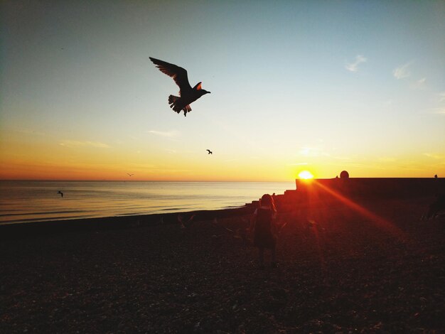 Rear view of girl standing by birds at beach during sunset